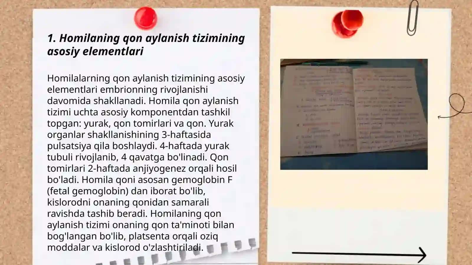 Homila ichi qon aylanishi xususiyatlari 3
