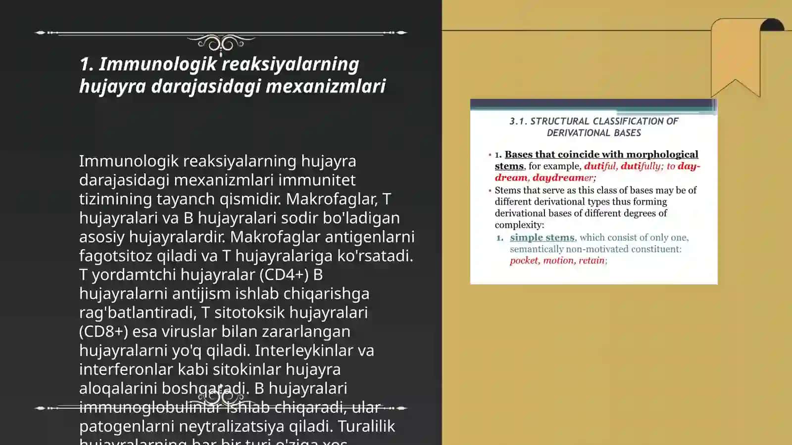 Immunologik reaksiyalarning morfologik asoslari 3