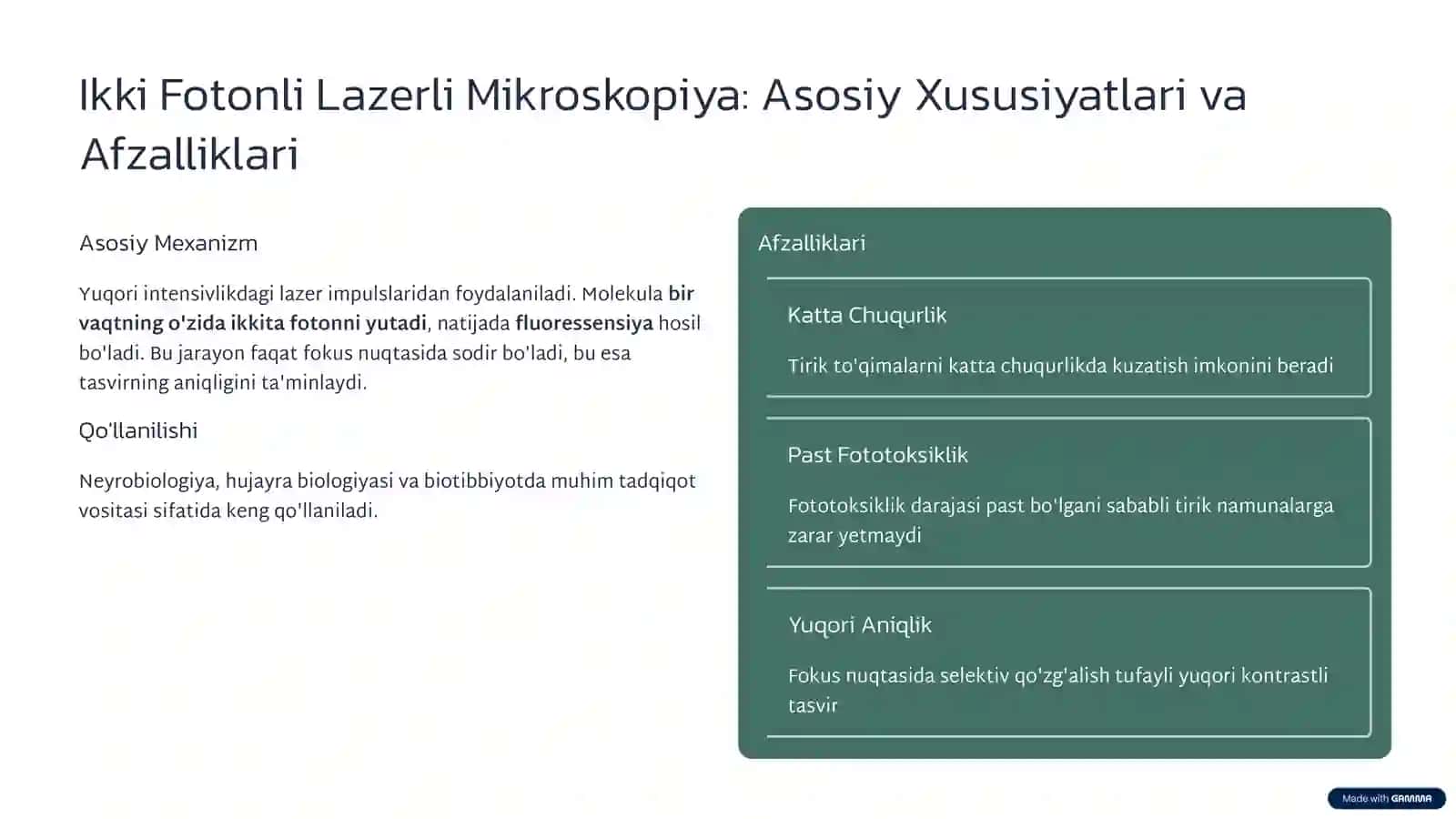 Konfokal Mikroskopiya 3