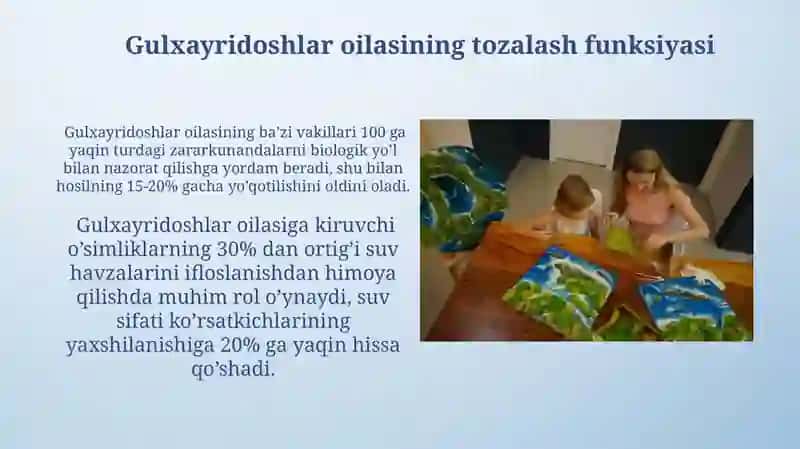 Gulxayridoshlar oilasiga mansub òsimliklarning yer yuzida tarqalishi va tabiatdagi ahamiyati 3