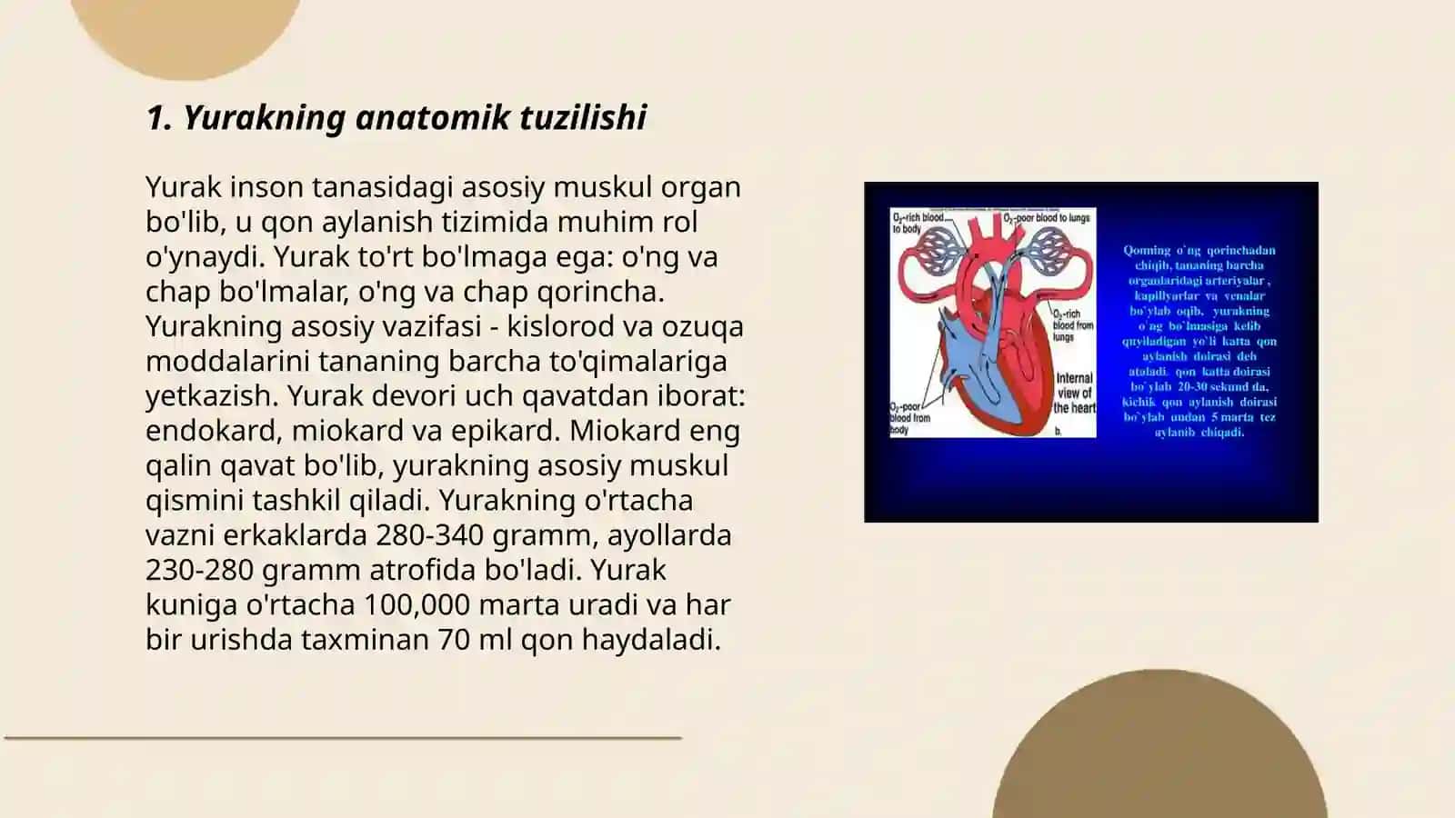 Yurakning otkazuvchi yollari.Yurak innervasiyasi 3