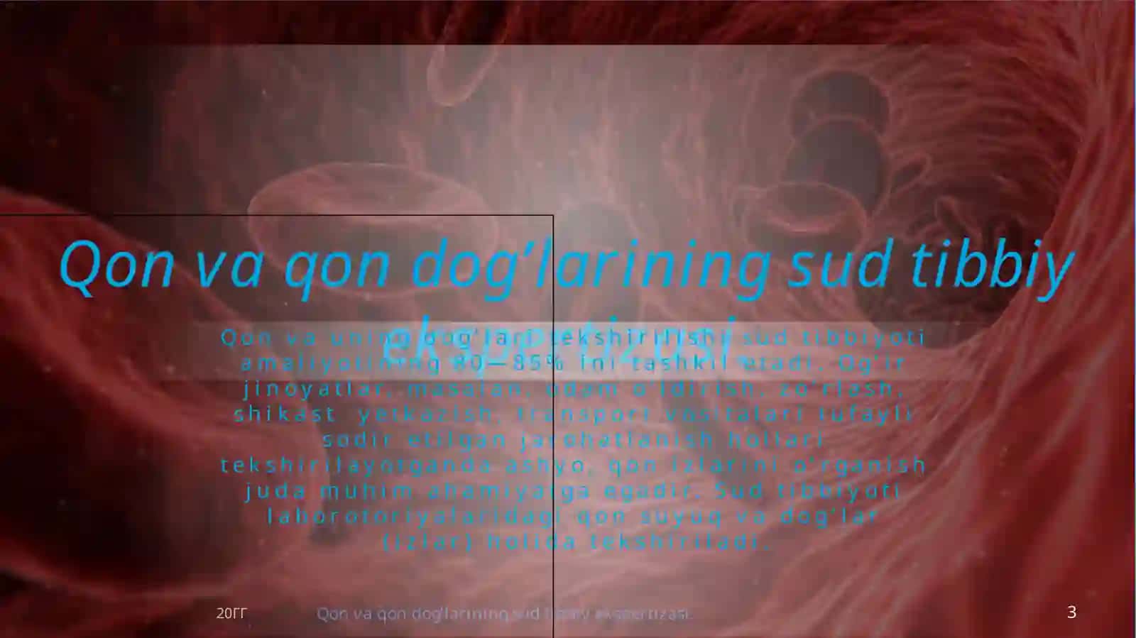 QON VA QON DOG’LARINING SUD TIBBIY EKSPERTIZASI 3