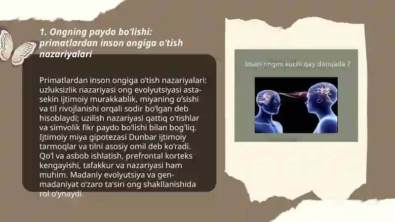 Inson ongining tarixiy taraqqiyoti 3