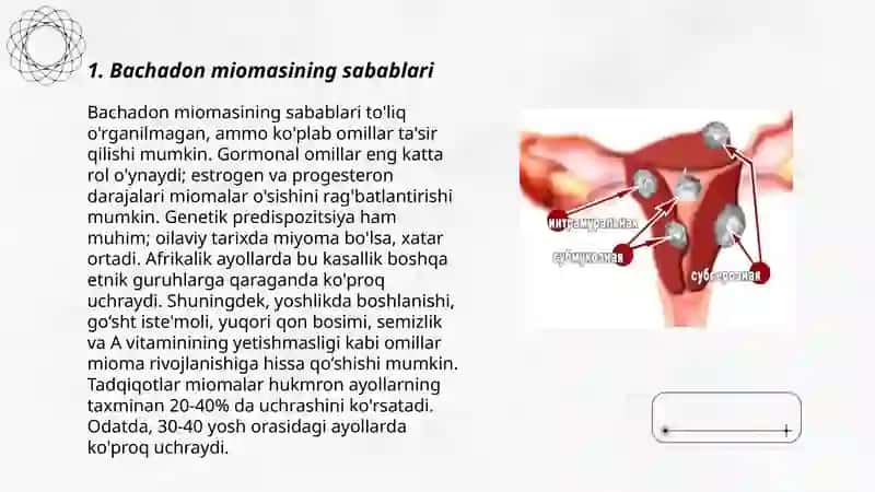 Bachadon mioma 3