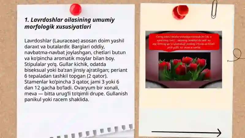 Ikki urug‘pallali o ‘simliklar sinfiga mansub oilalar 3