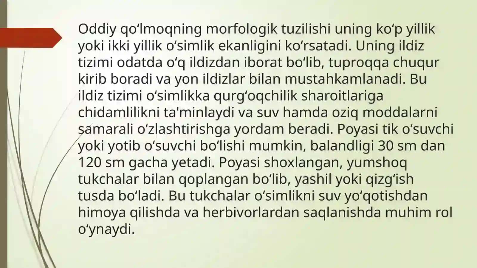 ODDİY QO'LMOQ TABIIY ZAXIRASI VA XOM ASHYOSI 3