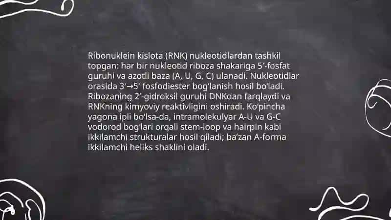 Ribonuklein kislotalar 3