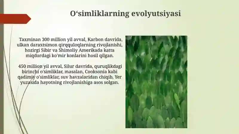 O‘simliklar ekologiyasi asoslari 3