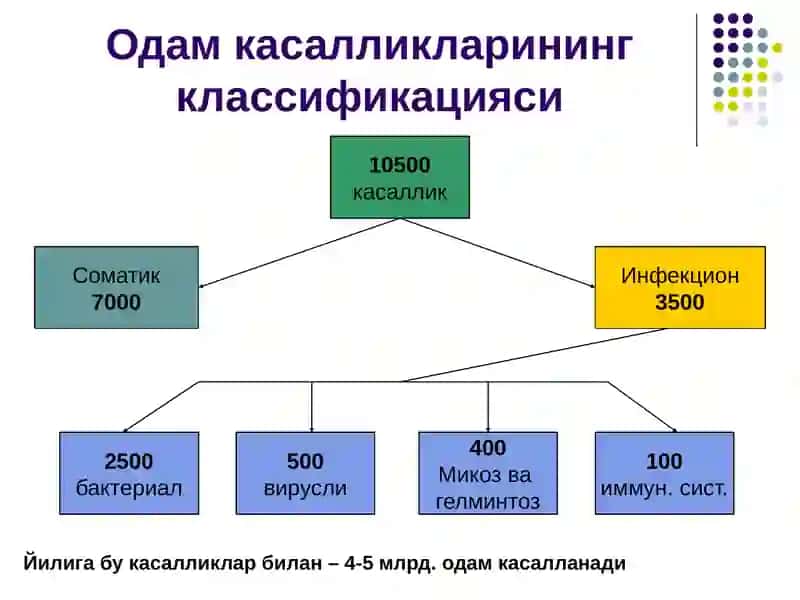 Тиббиёт микробиологияси 3