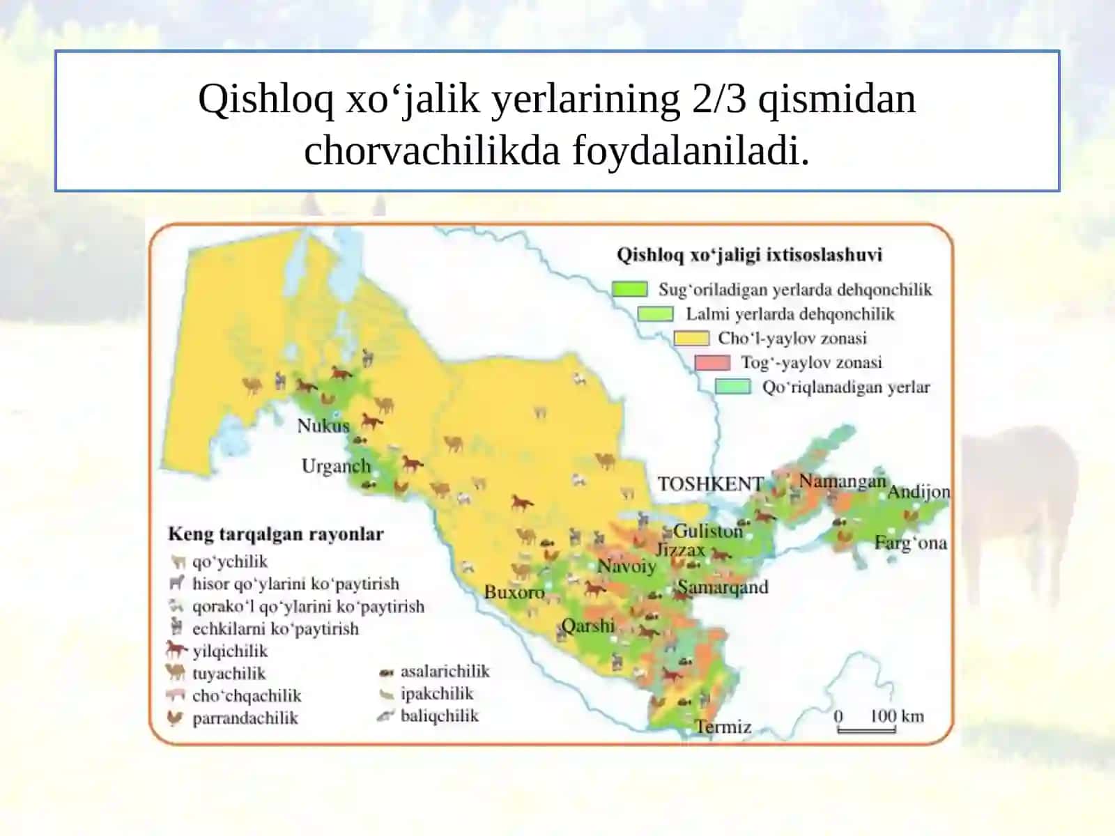 CHORVACHILIK 3