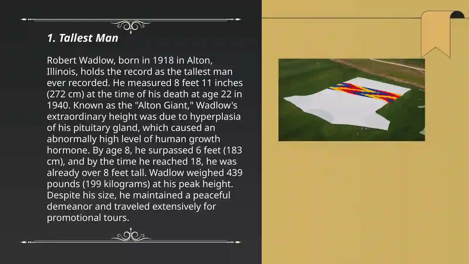 Guinness world records 3