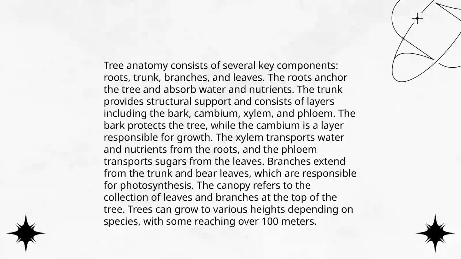 Trees 3