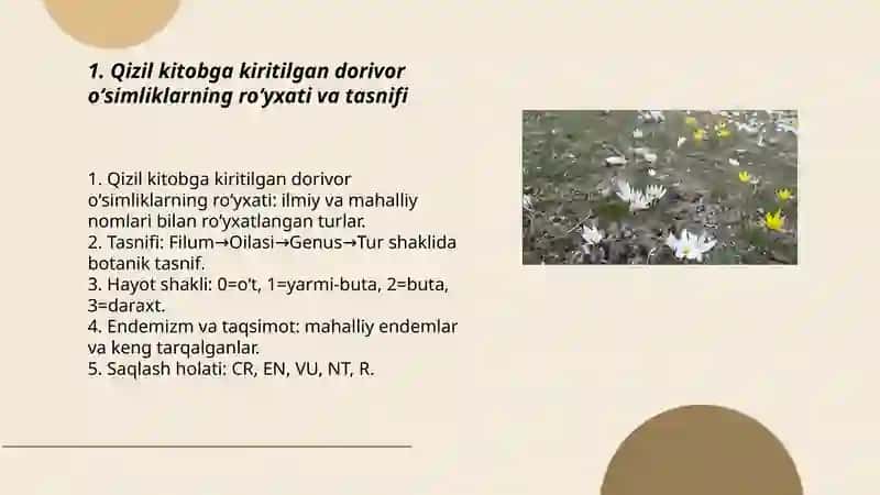 OʻZBEKISTON"Qizil"ga kitobi kiritilgan dorivor oʻsimliklar 3
