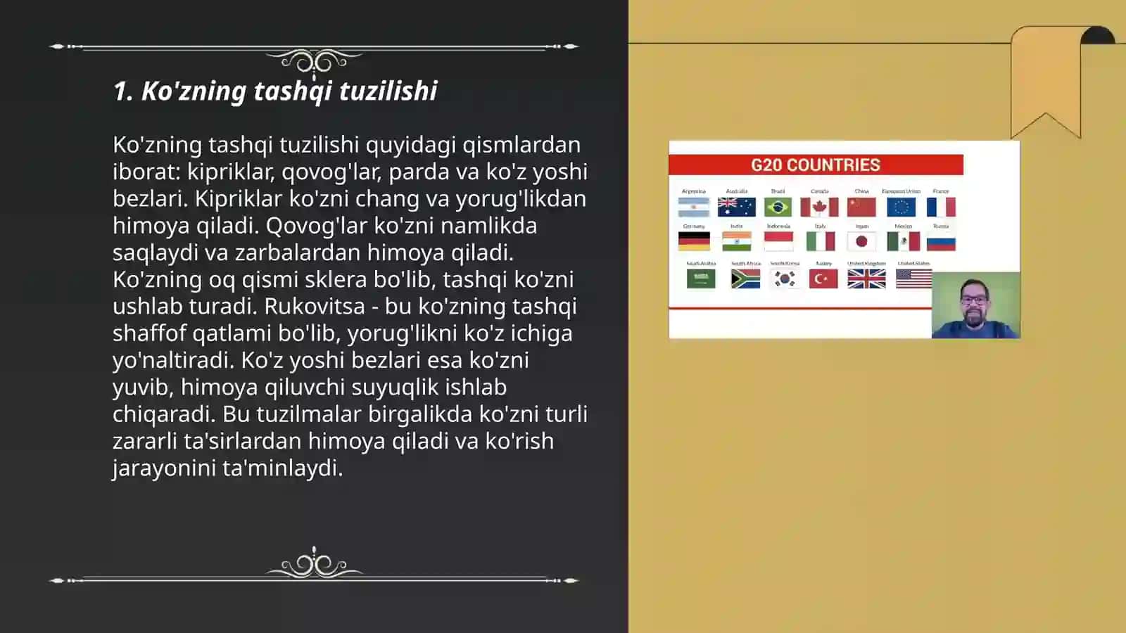 Sezgi a'zolarining tuzilishi koʻrish azosining tuzilishi koʻrish organi 3