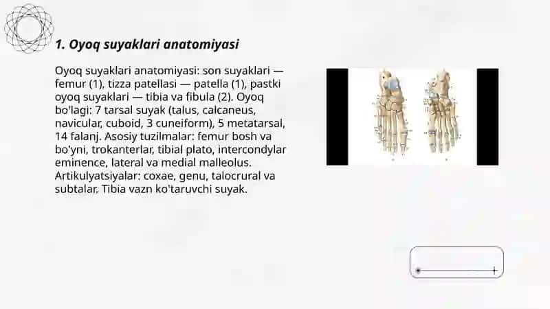 Oyoq suyaklari anatomiyasi 3