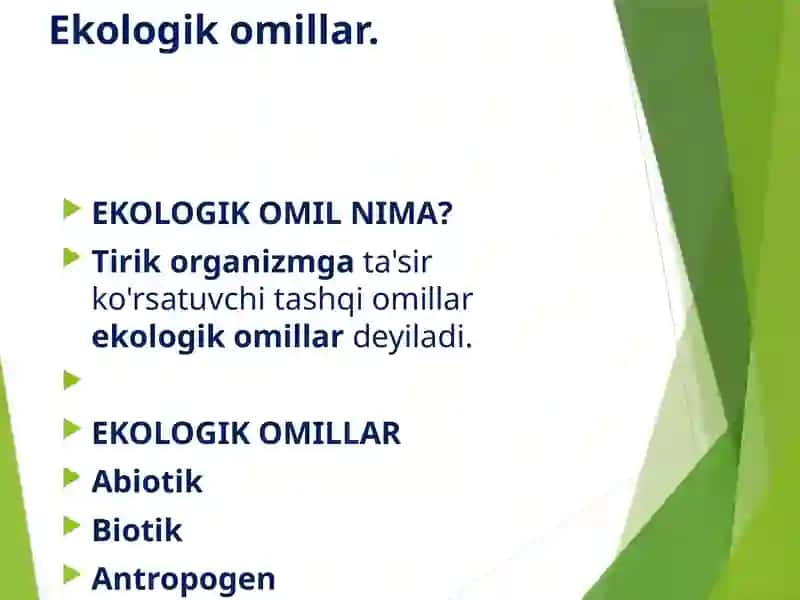 Insonvatabiat 3
