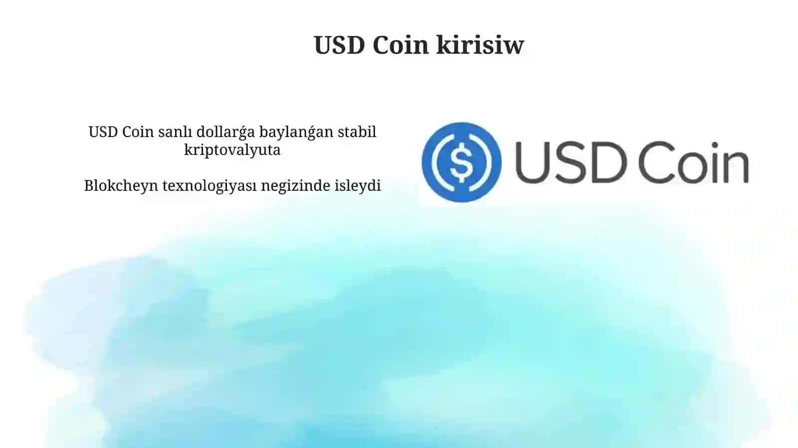 USD Coin 3