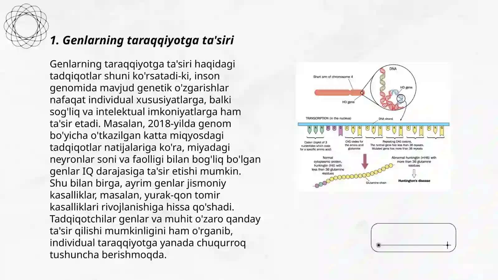 Genlarning taraqqiyotga ta'siri 3