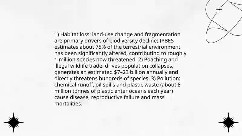 Endangered Animals Presentation 3