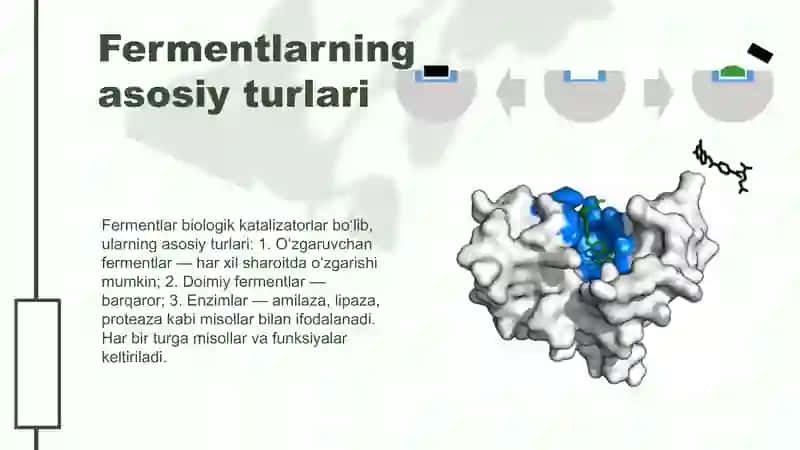 Fermeentlarvaularninngsanoatdagiaxamiyati 3