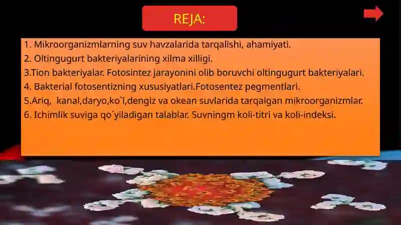 Mikrobiologiya va virusologiya 3