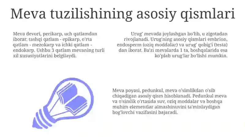 Mevalarning tuzilishi va tiplari 3