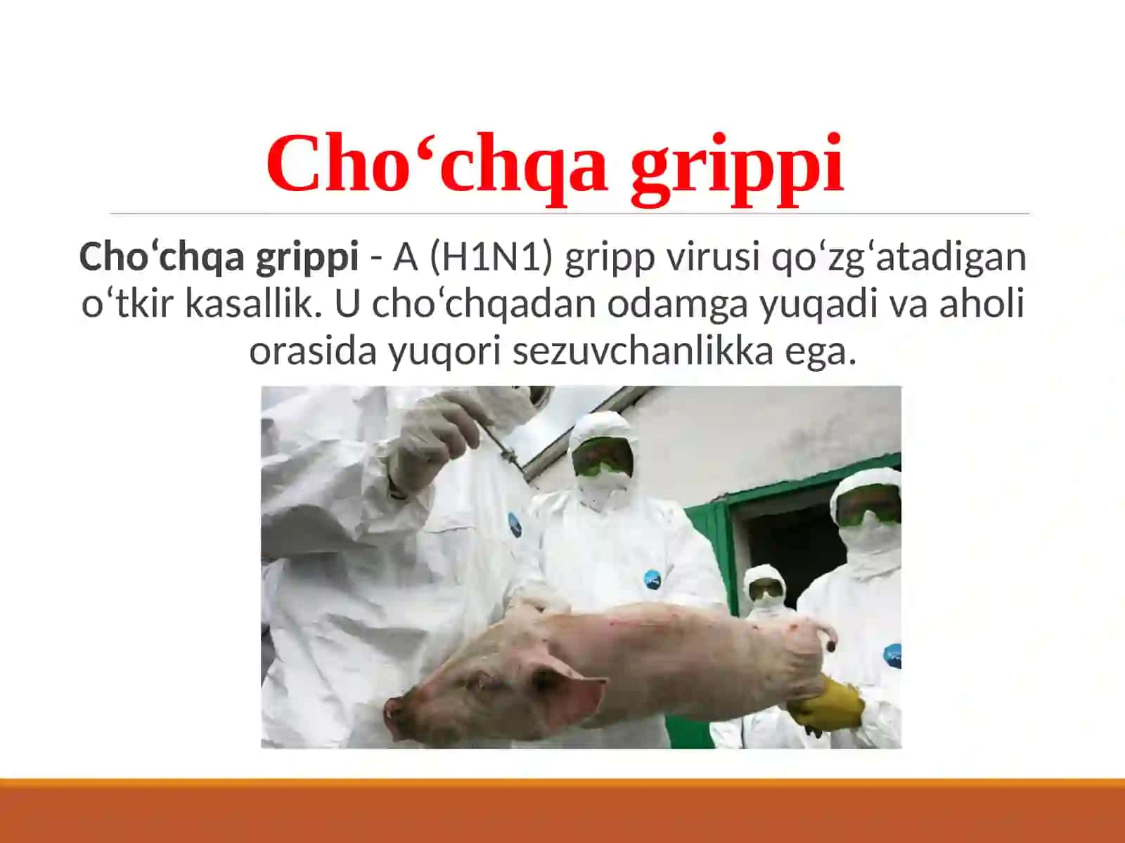 Cho‘chqagrippi va uning xozirgi kundagi muammolari 3