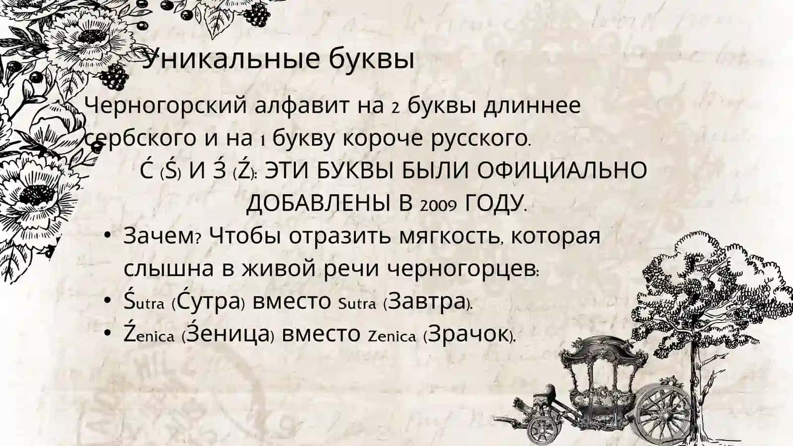 черногорский язык 3