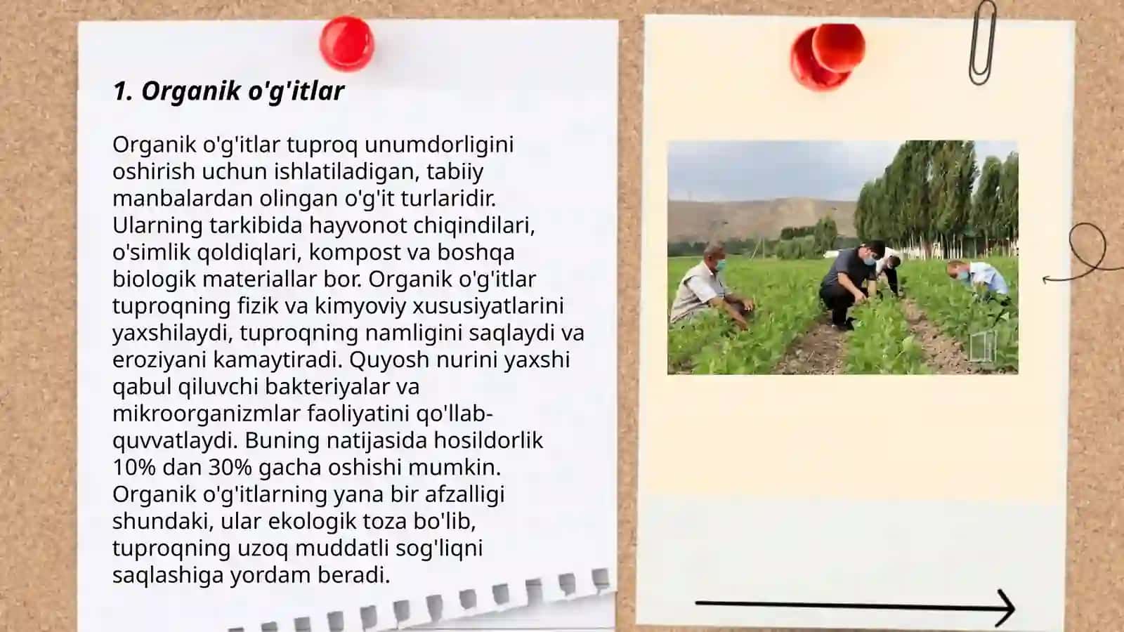 Ekologik toza qishloq xojaligi mahsulotlarini yetishtirish 3