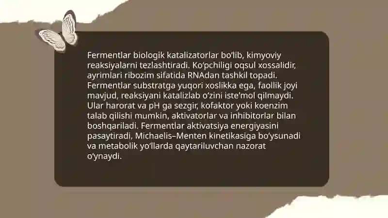 Ferment 3