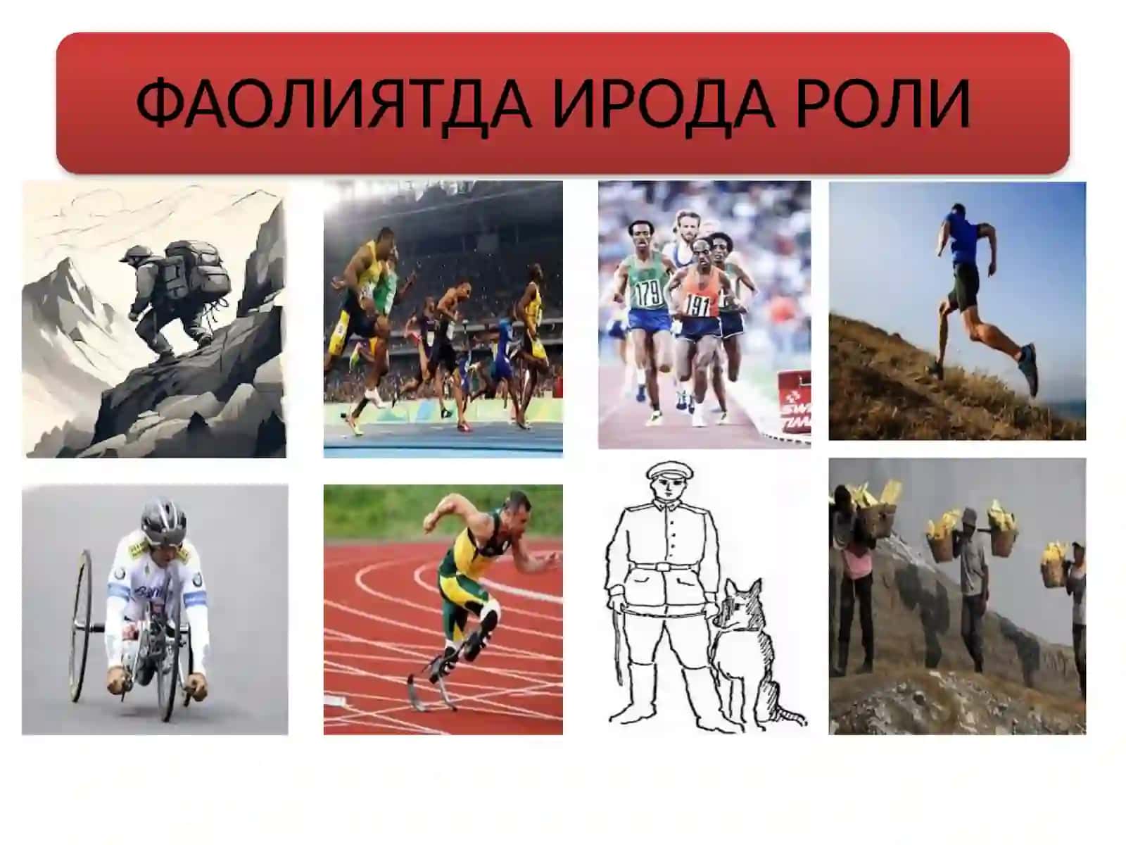 ИРОДАВИЙ СОҲАНИ ЭКСПЕРИМЕНТАЛ ЎРГАНИШ 3