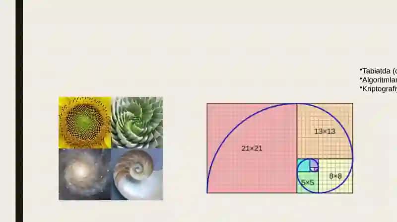 Fibonacci buketma-ketlikning qo‘ng‘iroq misollari 3