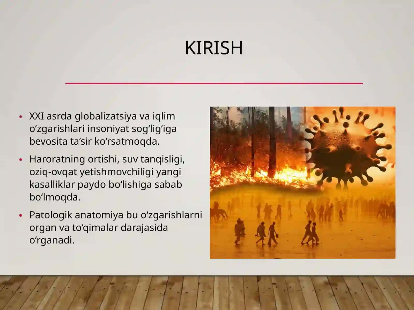 2-sonliDavolashfakulteti310-aguruhtalabasiusmonovamarjonaxonningPatalogikanatomiyafanidantayyorlagan 3