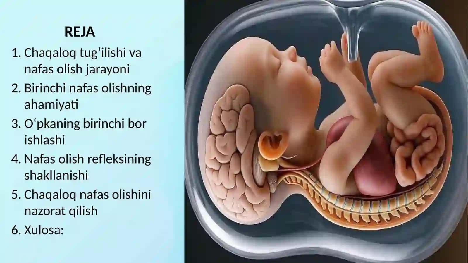 Chaqoloqlarnibirinchibornafasolishi 3