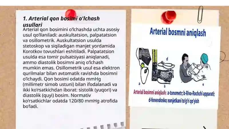 Arterial qon bosimi va periferik pulsni tibbiyotda ahamiyati 3