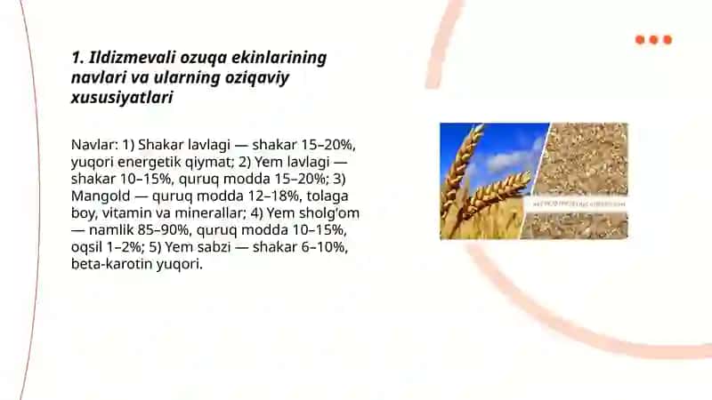 Ildizmevali ekinlarni ozuqa uchun yetishtirish texnalogiyasi 3