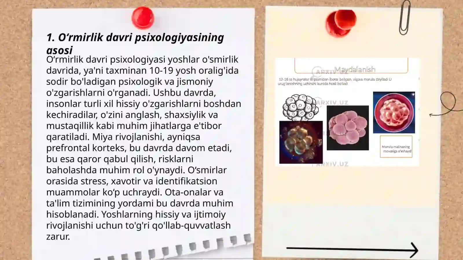 Oʻrmirlik davridagi psixik rivojlanishning umumiy tavsifi 3