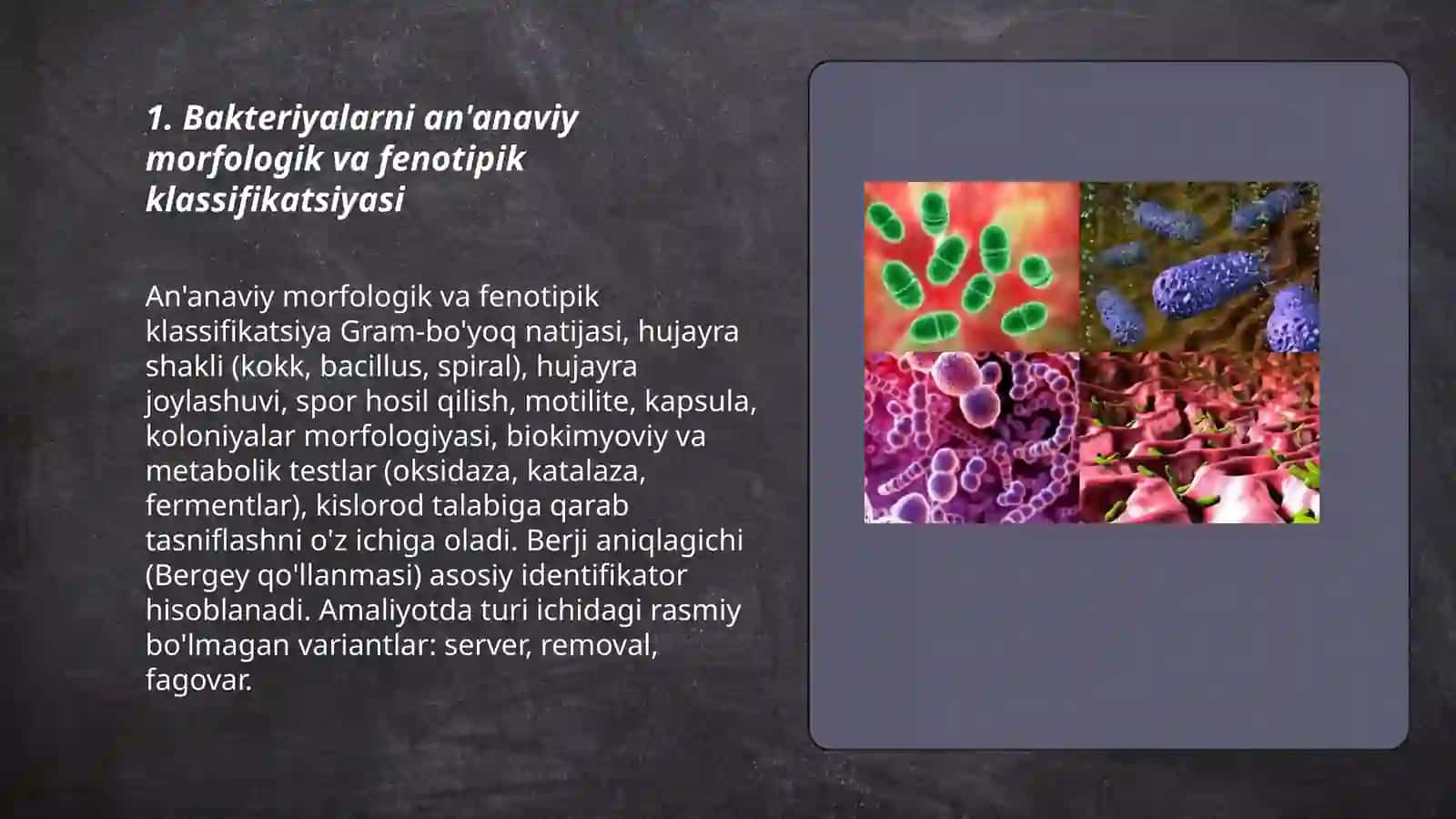 Bakteriyalarni klassifikatsiyasi, toksonomiyasi va nomenklaturasi. "Berji" aniqlagichi 3