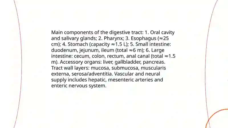Digestive system 3
