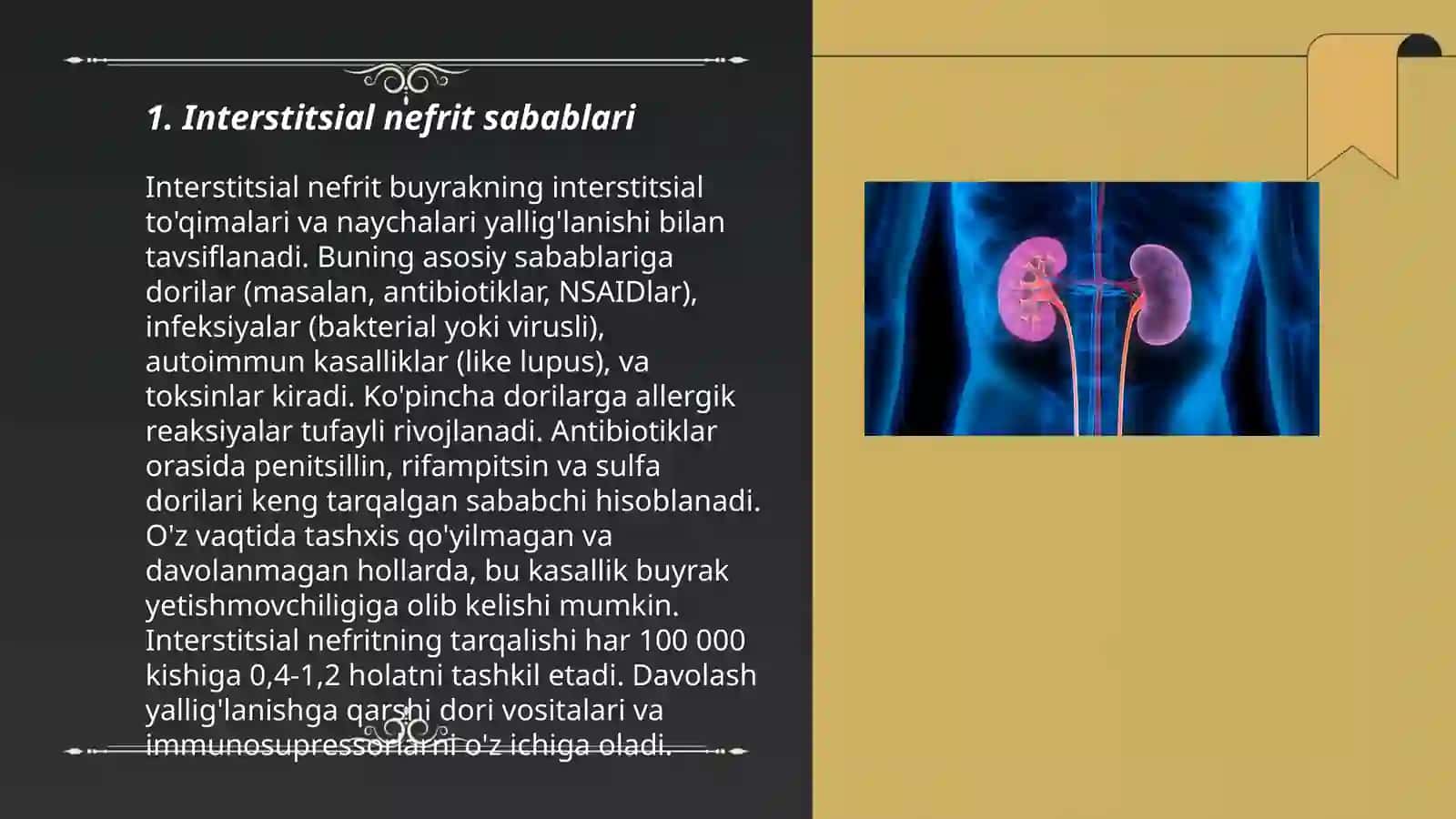 Interstitsial nefrit 3