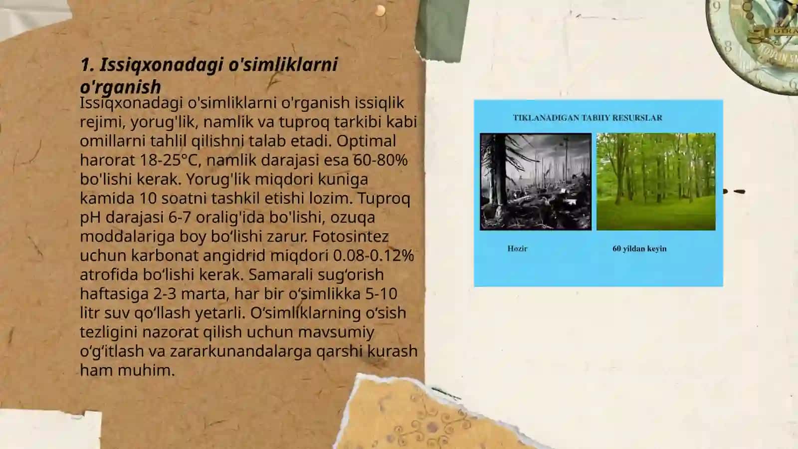 Issiqxonadagi o'simliklarni o'rganish 3