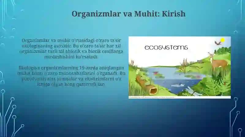 Organizmvamuhit 3