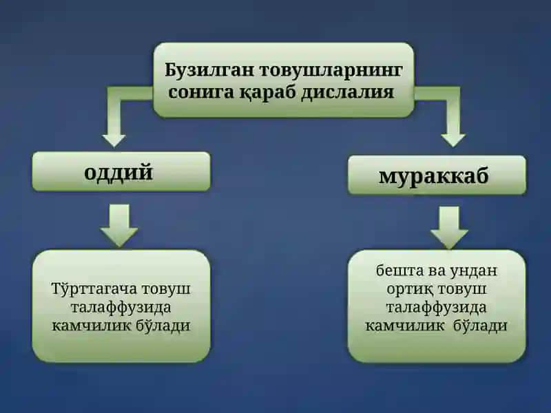 Dislaliyaturlari 3