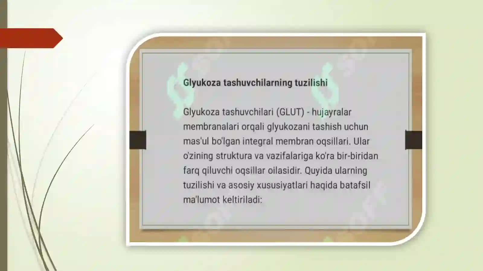 Glukozatashuvchilarning tuzilishi, spesifikligi, klinikahamiyati 3