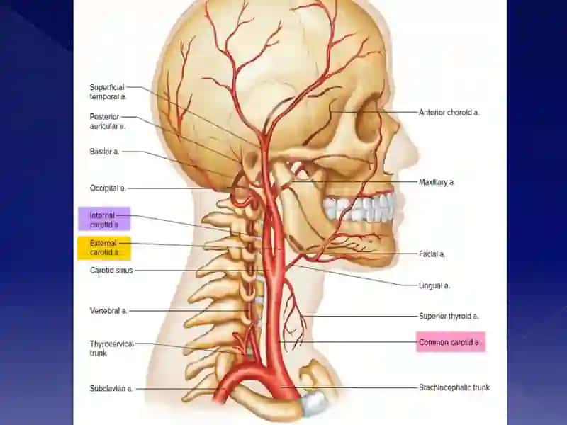 Villiziy arterial halqasi 3