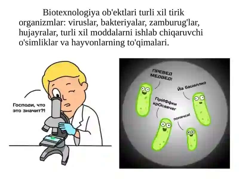 DAV 305A TESHAYEVA DURSANAM 3