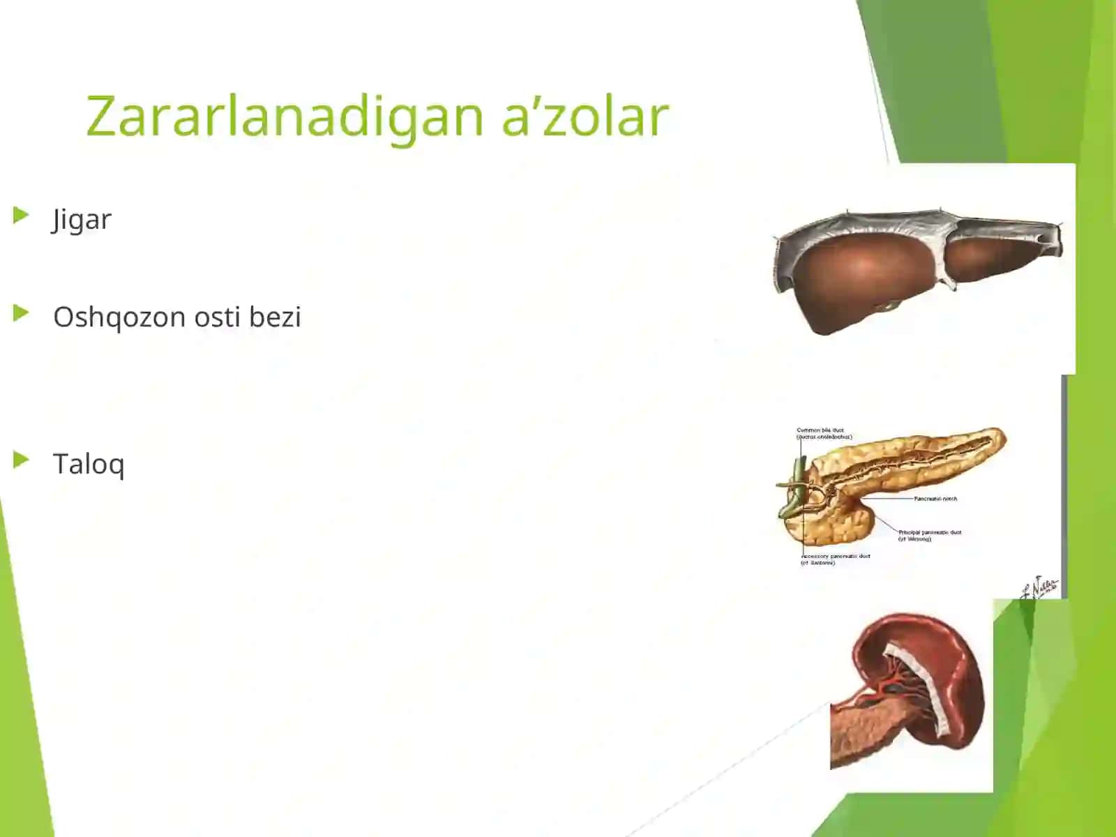 Jigar, taloq va meda-ichak tizimi jaroxatlari 3