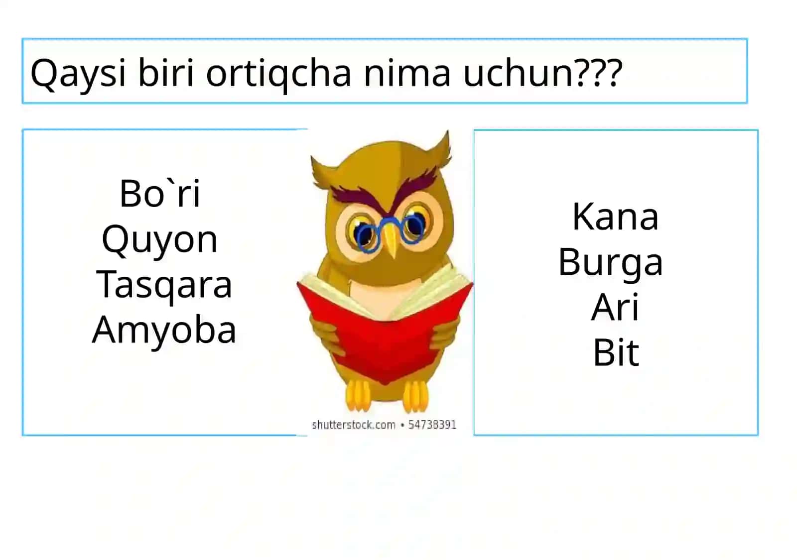 Hayvon organizmi tuzilishi. Hayvonlarni klassifikatsiya qilish 3