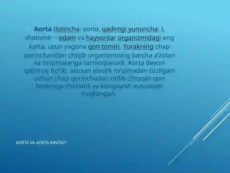 Aorta va aortaravog’i 3
