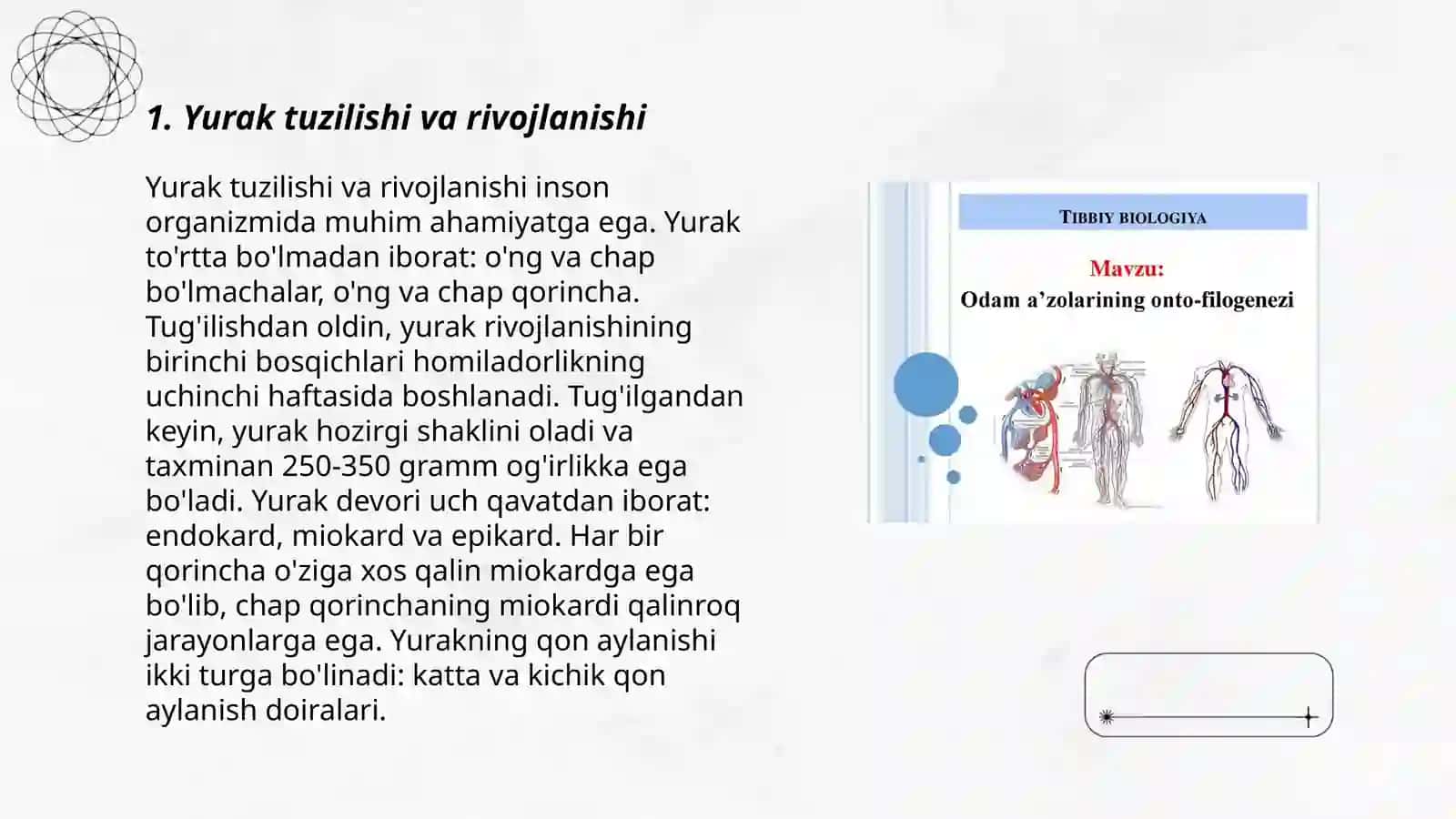 Yurak qon tomirlar onto-filogenezi. Nafas aʼzolari onto-filogenezi. Endokrin tizimining onto-filogenezi 3
